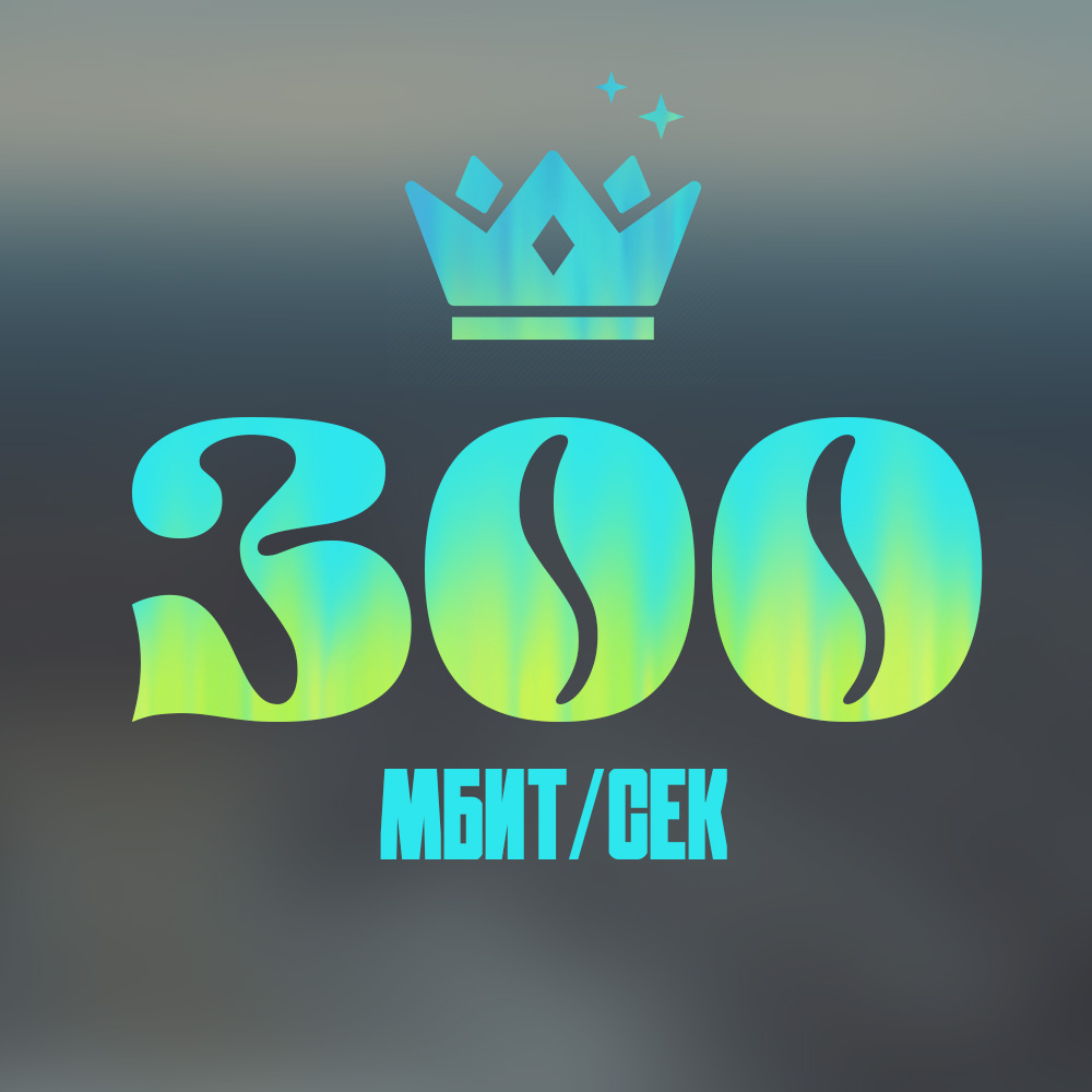 Высокоскоростной тариф Интернет 300